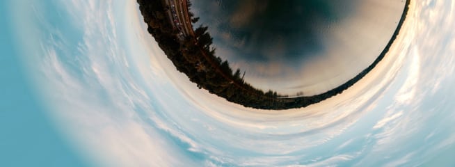 image of fish eye